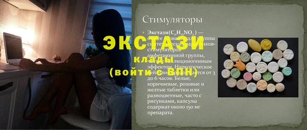 гашик Богородицк