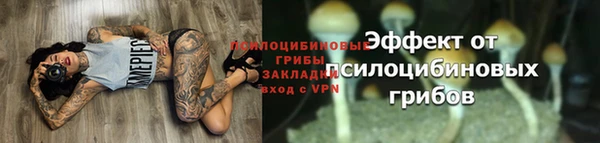 гашиш Богородск