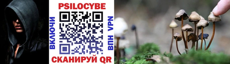 Галлюциногенные грибы Psilocybine cubensis  Болхов 